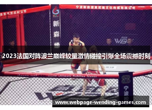 2023法国对阵波兰巅峰较量激情碰撞引爆全场震撼时刻
